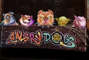 Angry Dogs